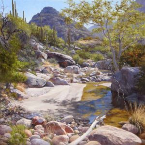 Secluded Canyon, 40x40, $630